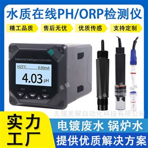 工业在线PH/ORP计强酸强碱化工监测PH检测仪