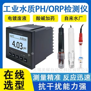 工业在线PH计 污水酸碱度检测仪 ph/orp电极