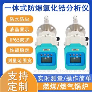 防爆氧化锆分析仪锅炉氧量检测烘箱烟道氧量