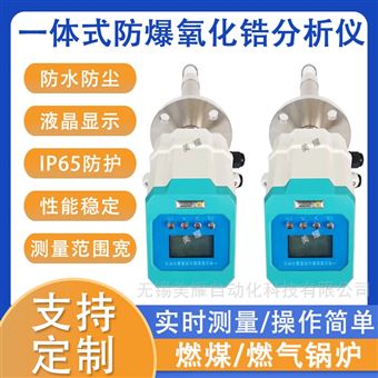 防爆氧化锆分析仪锅炉氧量检测烘箱烟道氧量