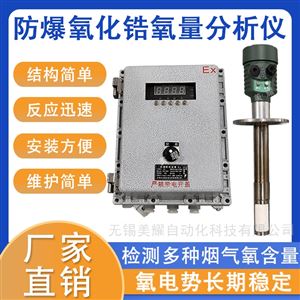 防爆氧化锆氧量分析仪发电厂锅炉氧含量监测