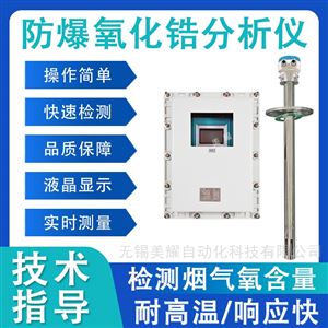 防爆氧化锆分析仪锅炉烟道探头氧含量检测仪