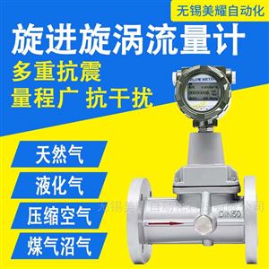 旋进旋涡流量计防爆不锈钢天燃气煤气氮气