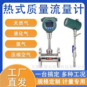 热式气体质量流量计插入式管道气体氮气氧气