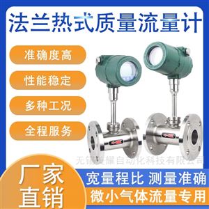 热式气体质量流量计天然气管道插入式
