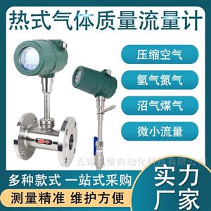 热式气体质量流量计插入式管道式高精度数显