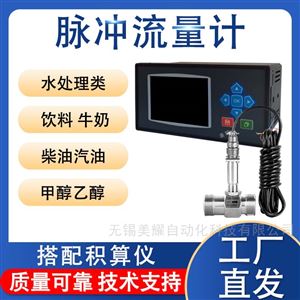 液体涡轮流量计柴油计量表智能防爆