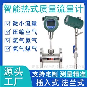 智能数显热式气体质量流量计压缩空气天然气