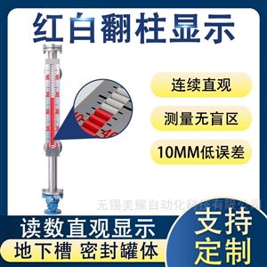 顶装磁翻板液位计侧装远传开关报警水位计
