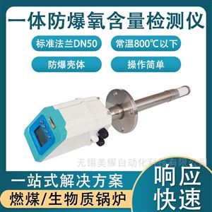 防爆氧化锆氧量分析仪 烟道含量检测 氧探头