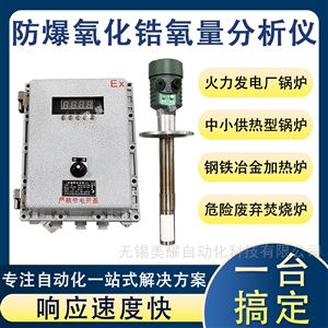 防爆氧化锆氧量分析仪锅炉烟道氧气检测仪