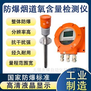 防爆氧化锆分析仪危险废弃焚烧炉氧含量检测