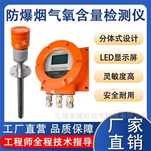 防爆氧化锆分析仪危险废弃焚烧炉氧气检测仪
