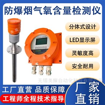 防爆氧化锆分析仪危险废弃焚烧炉氧气检测仪