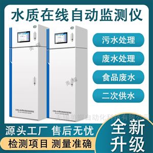 水质在线COD氨氮总磷总氮重金属监测仪