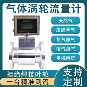 气体涡轮流量计天然气煤气氮气丙烷测量