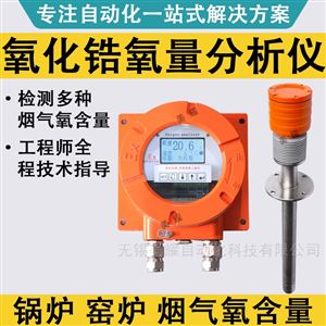 防爆氧化锆氧量分析仪 石油化工锅炉氧量计
