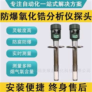 防爆氧化锆分析仪 氧含量检测仪