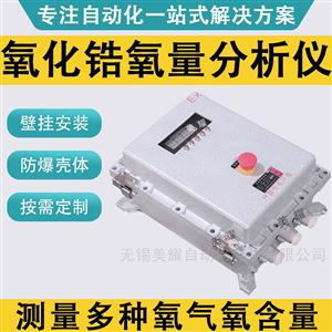防爆氧化锆氧量分析仪 烟道氧含量变送器