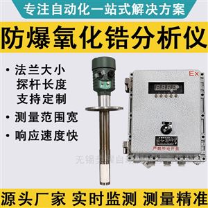 防爆氧化锆分析仪 锅炉烟道氧气含量检测仪
