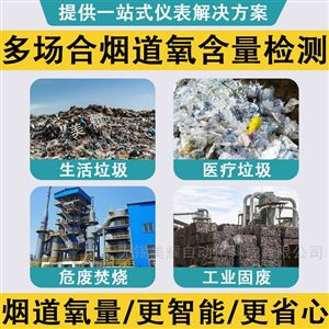 氧化锆氧量分析仪 垃圾焚烧专用款