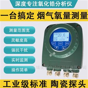 高精度氧化锆氧量分析仪 氧探头