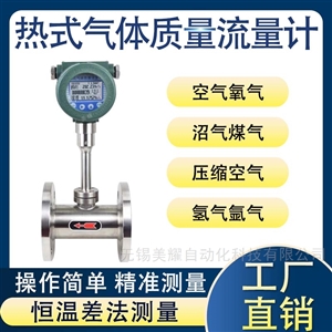 防爆热式气体质量流量计压缩空气天然气