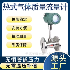 热式气体质量流量计压缩空气天然气智能数显