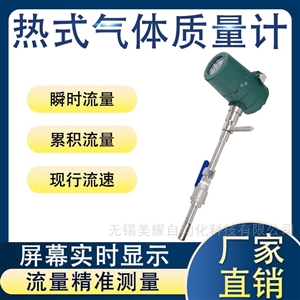 数显热式气体质量流量计天然气煤气空气沼气