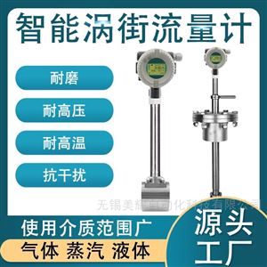 智能涡街流量计蒸汽压缩空气天然气计量表