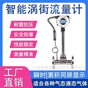智能蒸汽涡街流量计气体计量表天然气氮气