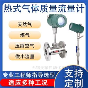 热式气体质量流量计插入式管道式压缩空气