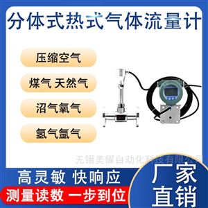 热式气体质量流量计压缩空气天然气防爆