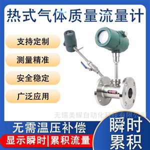 热式气体质量流量计插入式氧气氯气腐蚀性