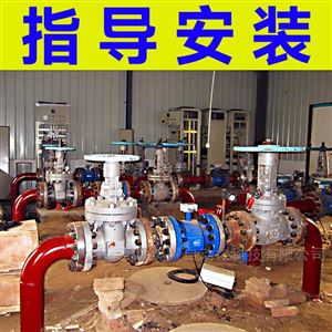 智能电磁流量计，污水，废水，泥浆，纸浆..