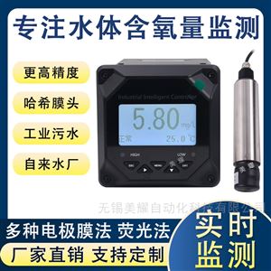 工业荧光法溶氧仪 在线溶解氧分析仪
