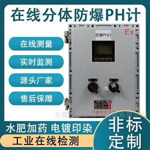 工业在线PH检测仪强酸强碱水产养殖PH仪