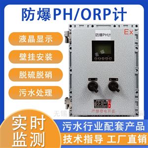 工业在线PH/ORP检测仪 PH在线分析仪