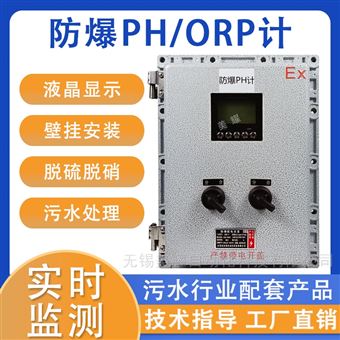工业在线PH/ORP检测仪 PH在线分析仪