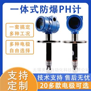 工业式PH计酸度计ORP计水质检测仪