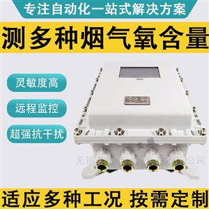 防爆氧化锆氧含量分析仪烟气锅炉氧量检测仪
