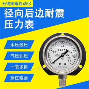 耐震压力表 充油气压水压液压油压真空表