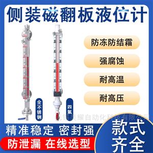 磁翻板液位计侧装顶装带远传磁翻柱水位计